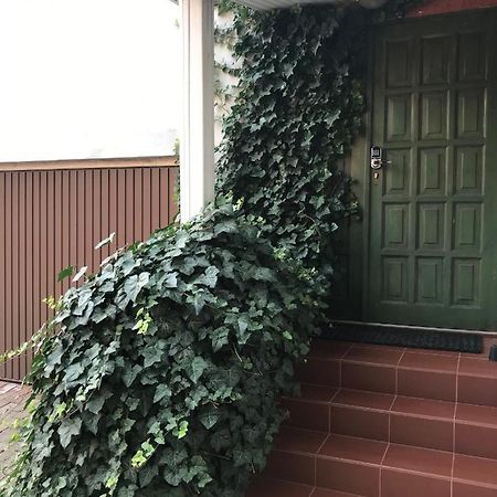 Stare Miasto Apartment Жельона Гора Екстериор снимка